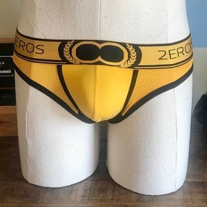 2Eros Mesh Briefs